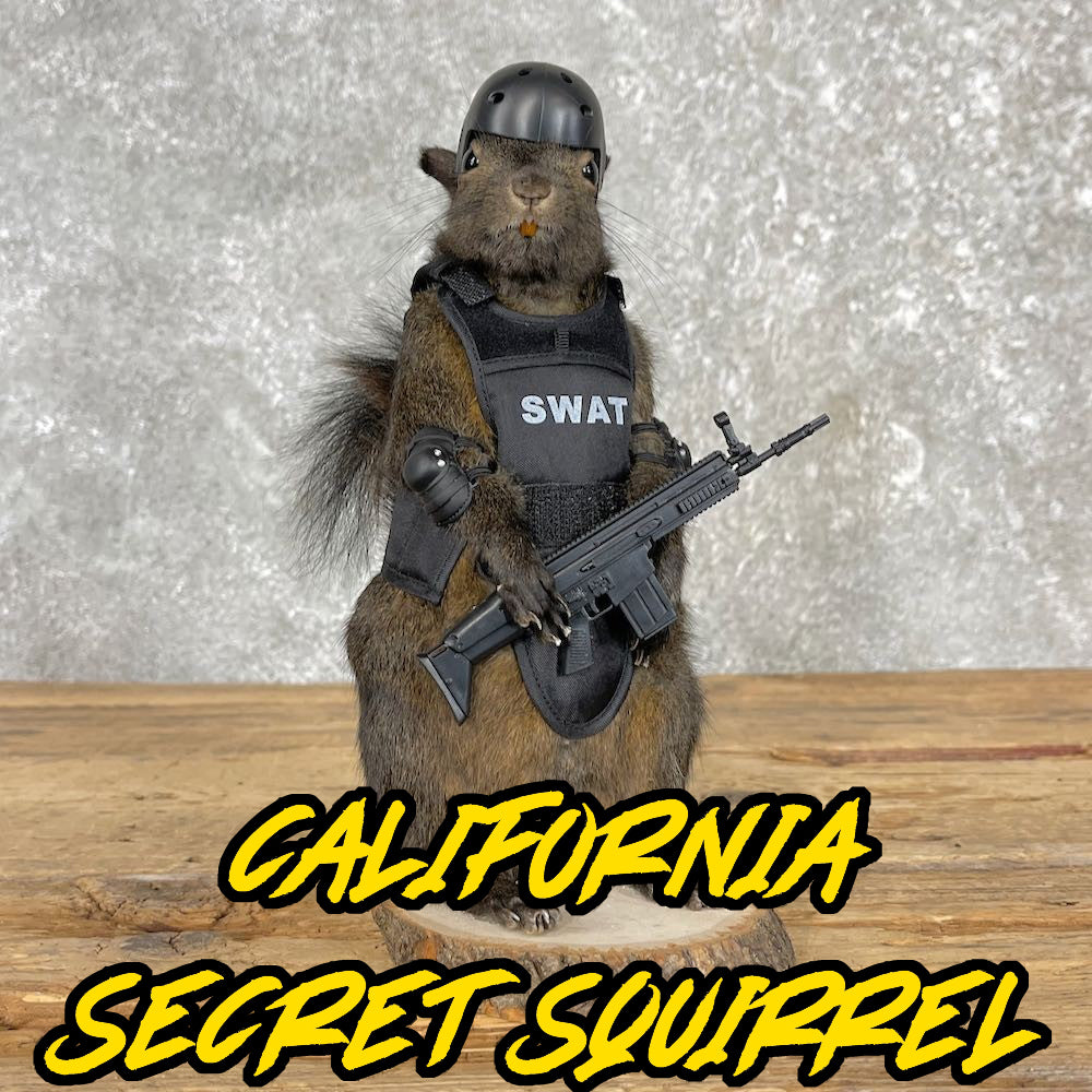 Californa Police Secret Squirrel - ONLY 10 available