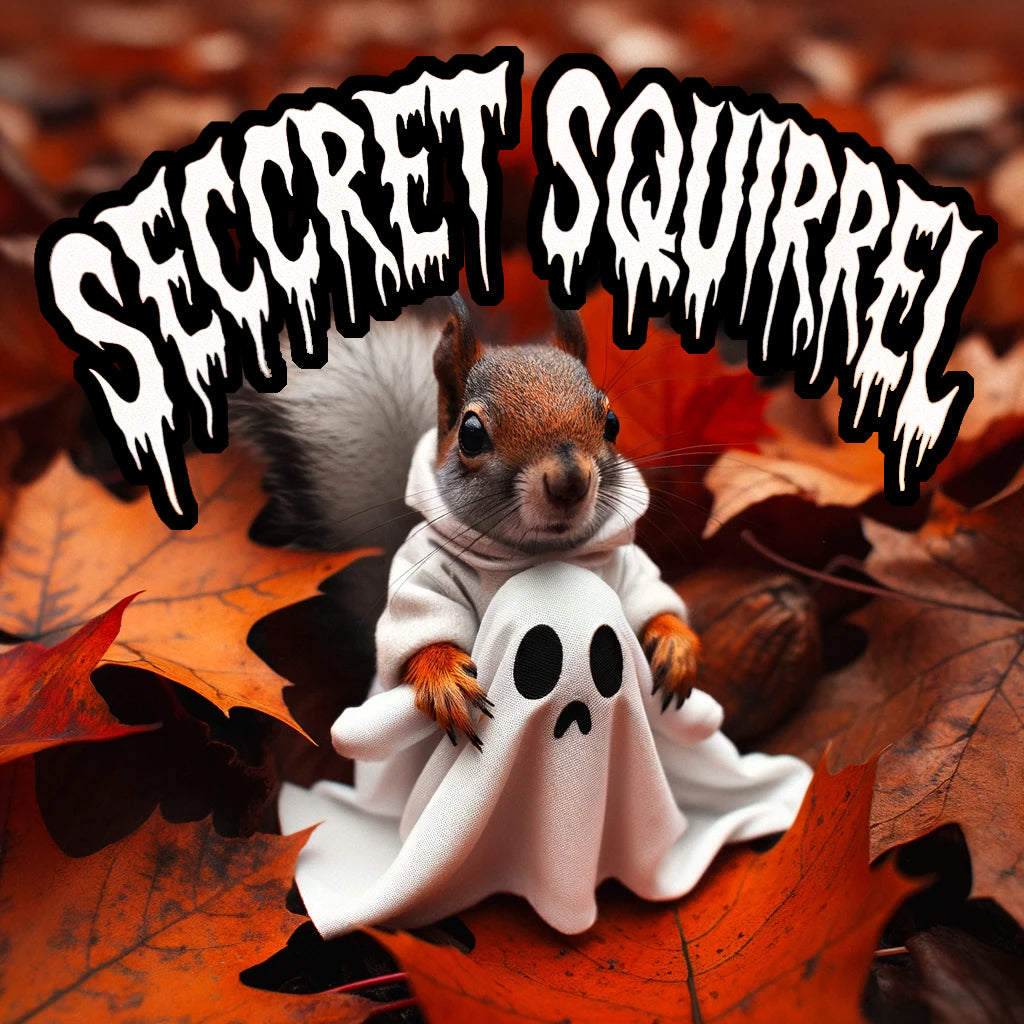 Florida Sheriff Halloween Event Secret Squirrel