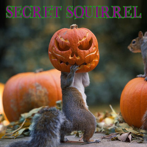 NJ PD Halloween Secret Squirrel