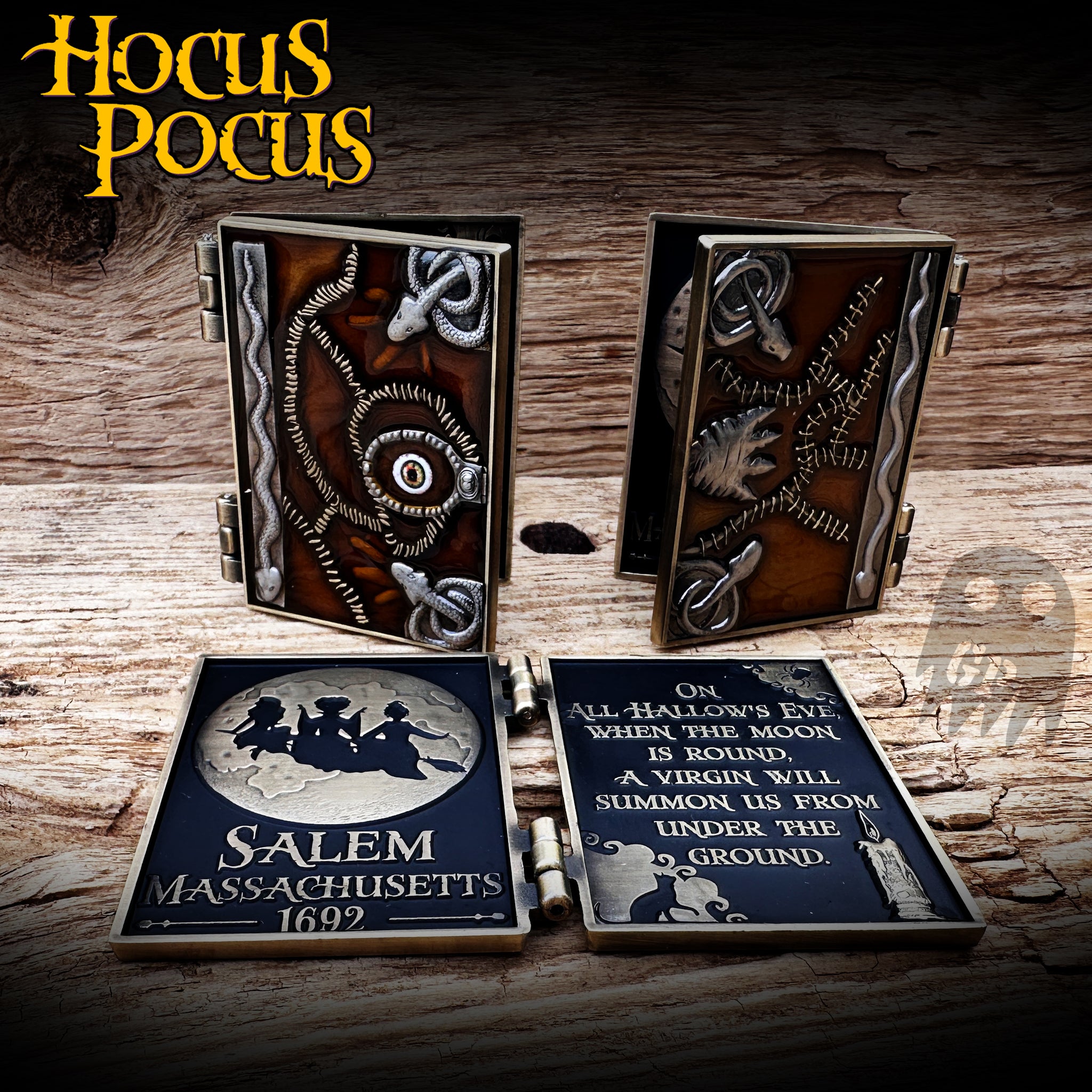 Hocus Pocus Book Coin