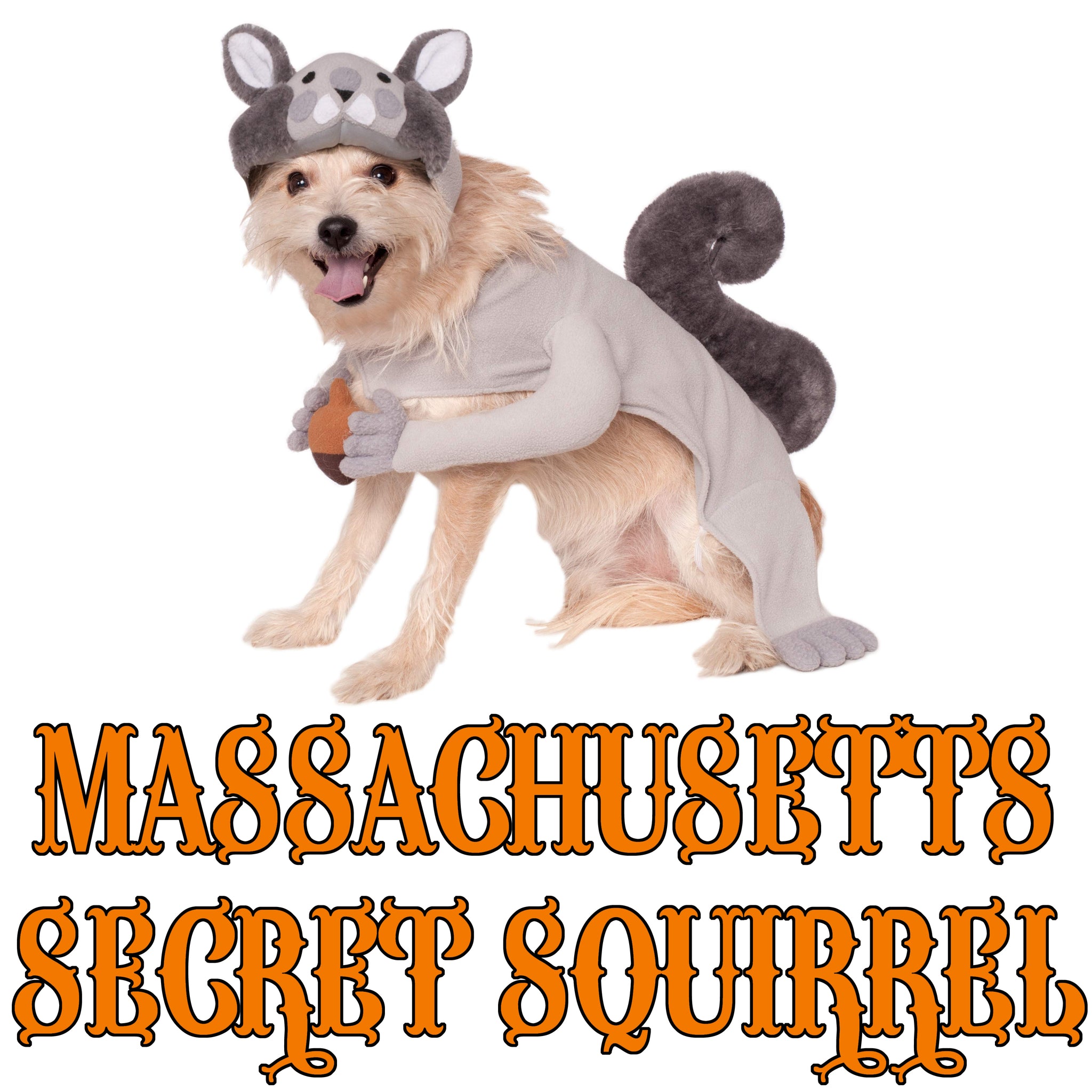 Massachusetts Police K9 Secret Squirrel - ONLY 30 available