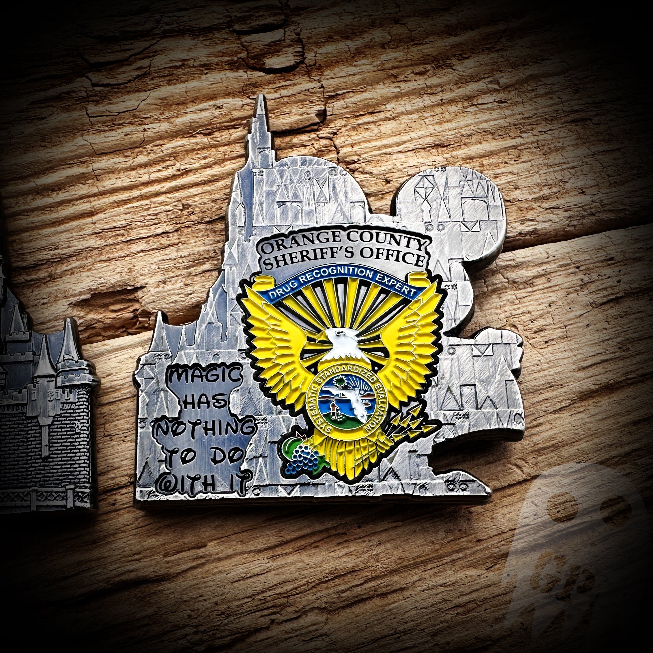 Magic Kingdom DRE - Orange County Sheriff's Office, FL DRE Coin
