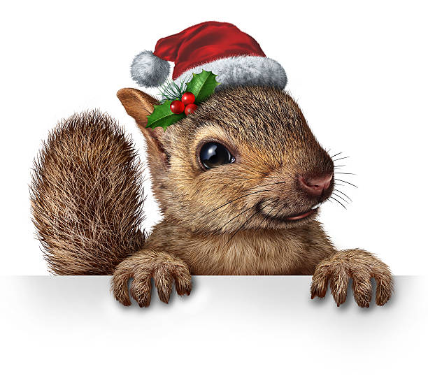 Secret Squirrel Big New England City 2022 Christmas Patch - Authentic
